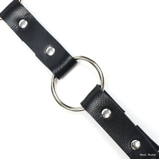 Anal Hooks EverydayUse Hook and Leash Anal 5853 with Collar Kinky 1016